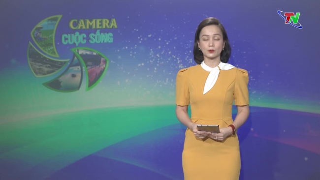 Bản tin Camera cuộc sống ngày 31/5/2024