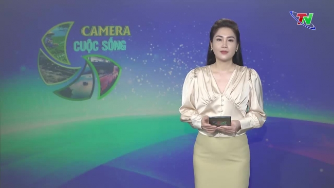 Bản tin Camera cuộc sống ngày 01/6/2024