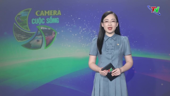 Bản tin Camera cuộc sống ngày 03/6/2024