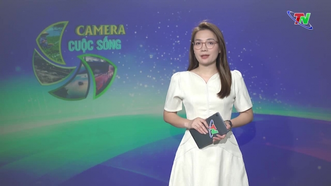 Bản tin Camera cuộc sống ngày 05/06/2024