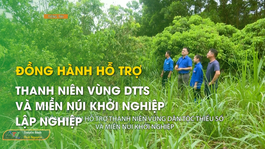 Đồng hành hỗ trợ thanh niên vùng DTTS và miền núi khởi nghiệp, lập nghiệp – Chương trình tiếng Tày 6/6/2024