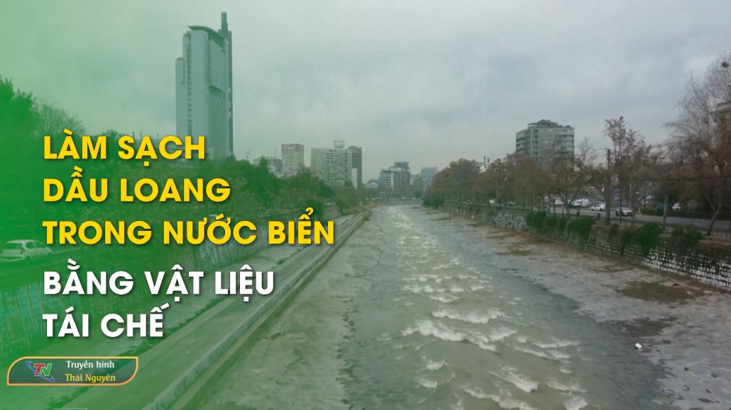 Làm sạch dầu loang trong nước biển bằng vật liệu tái chế - Bản tin Trong nước quốc tế 6/6/2024