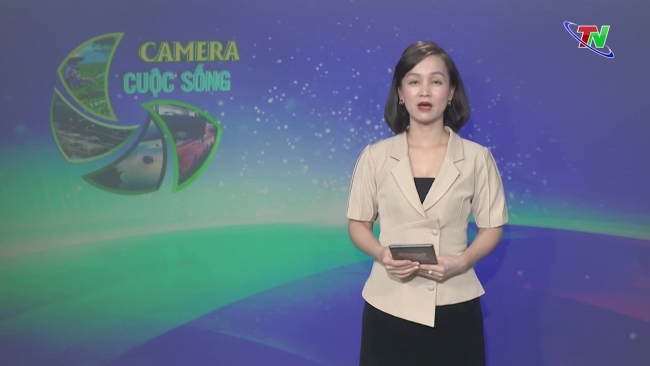 Bản tin Camera cuộc sống ngày 06/6/2024