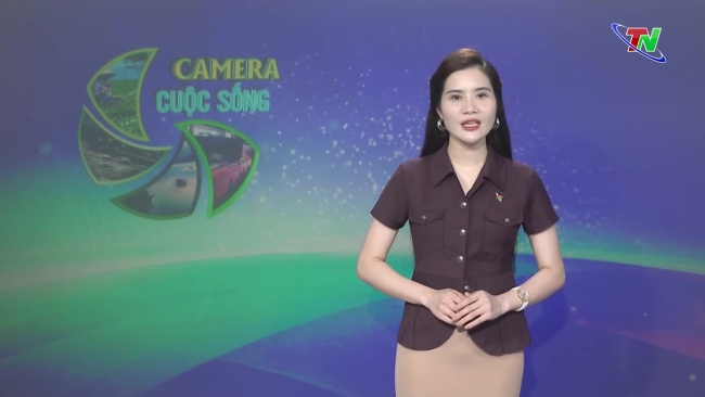 Bản tin Camera cuộc sống ngày 07/06/2024