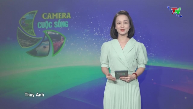 Bản tin Camera cuộc sống ngày 11/06/2024