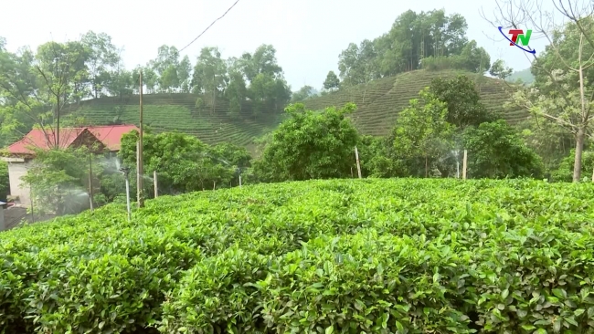 7/6/2024 太原新闻节目 - 保护土地和水资源——保护环境和气候