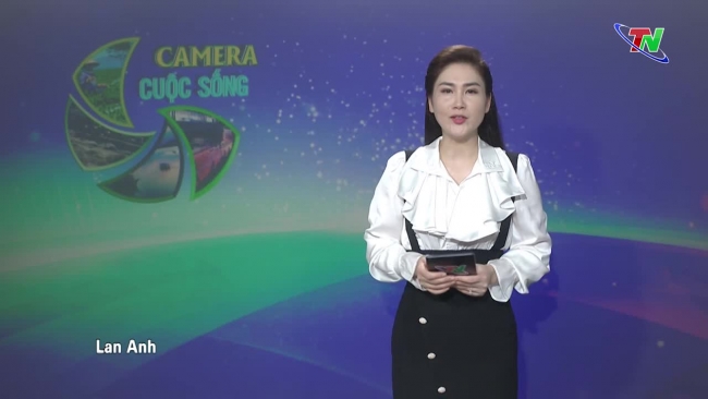 Bản tin Camera cuộc sống ngày 12/06/2024